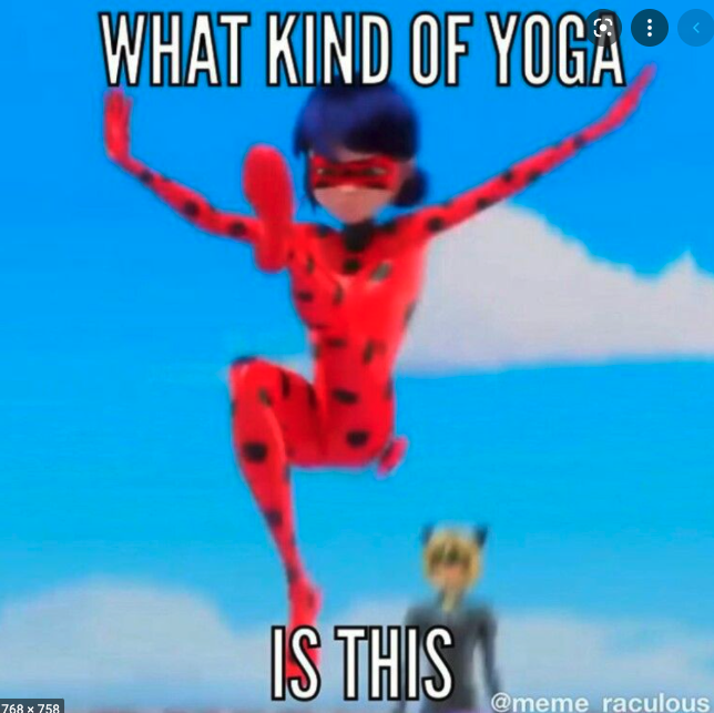 Ladybug's Daily Yoga
